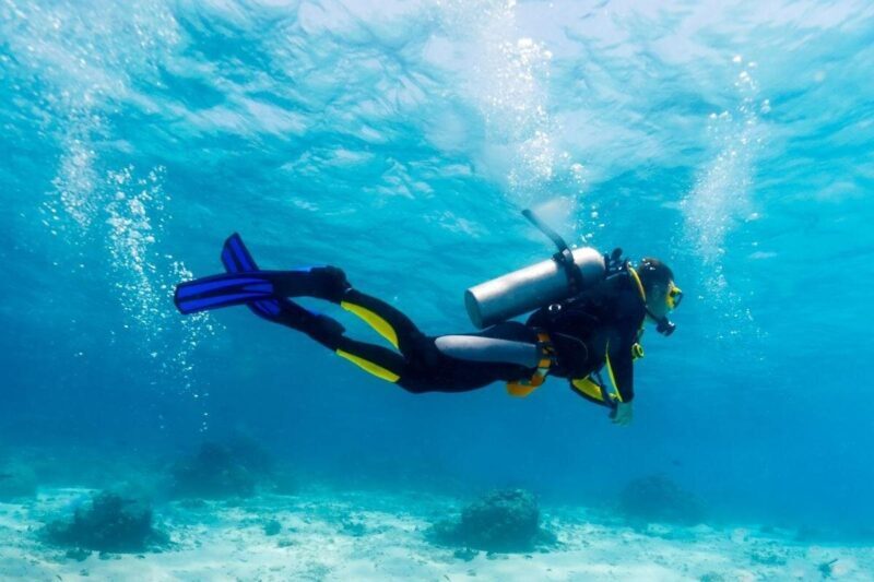 Scuba Certified Diving Immersion at Maroma Beach (1 or 2 tanks) - Authentic Experiences and Feedback