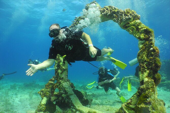 Scuba Dive at Musa Cancun for Certified Divers - Authentic Traveler Insights