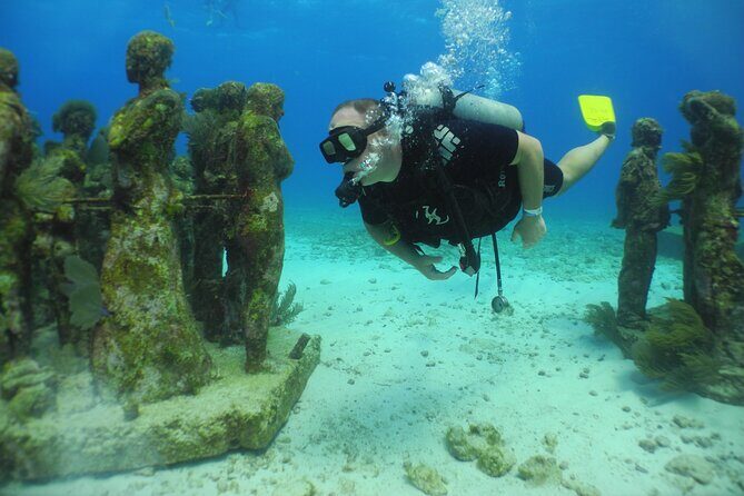 Scuba Dive at Musa Cancun for Certified Divers - Final Thoughts: Who Is This Tour For?