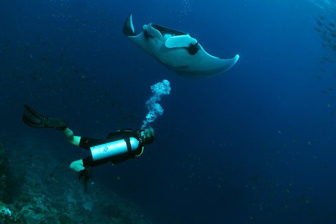 Scuba Dive in Koh Lanta, Thailand - An In-Depth Look at the Koh Lanta Scuba Tour Experience