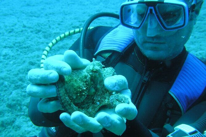 SCUBA DIVE: Kallithea's Underwater Exploration - FAQs