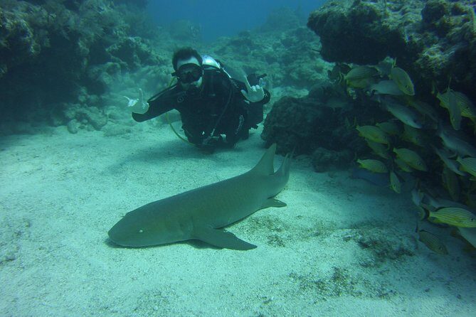 SCUBA Dive Key Largo Reef (min 6 divers) - A Deep Dive into the Experience