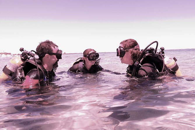 Scuba Dive The Beautiful Rottnest Island for Certified divers - An Honest Look at the Experience