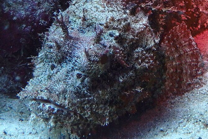 Scuba Diver Certification Course - Practical Considerations