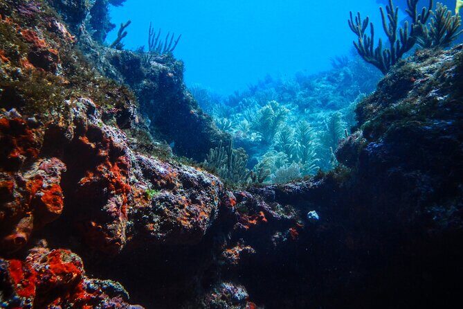 Scuba Diver Certification Course - Who Should Consider This Course?