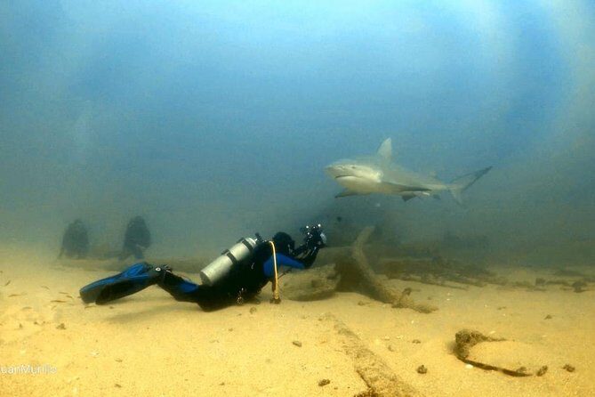 Scuba Diving adventure Cabo pulmo - What Do Travelers Say?