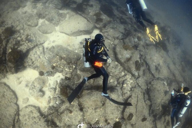 Scuba Diving adventure Cabo pulmo - The Real Experience: Why It Matters