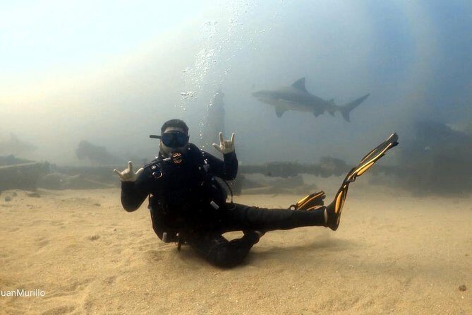 Scuba Diving adventure Cabo pulmo - FAQ