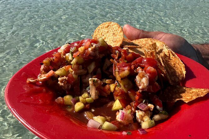 Scuba Diving Adventure in La Paz - Return and Reflection