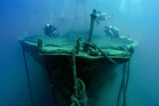 Scuba Diving Adventure in La Paz - Logistics and Practicalities