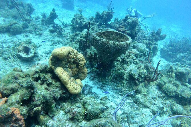 Scuba Diving Adventure in Riviera Maya Small Group Experience - Final Thoughts: Is This the Right Dive for You?