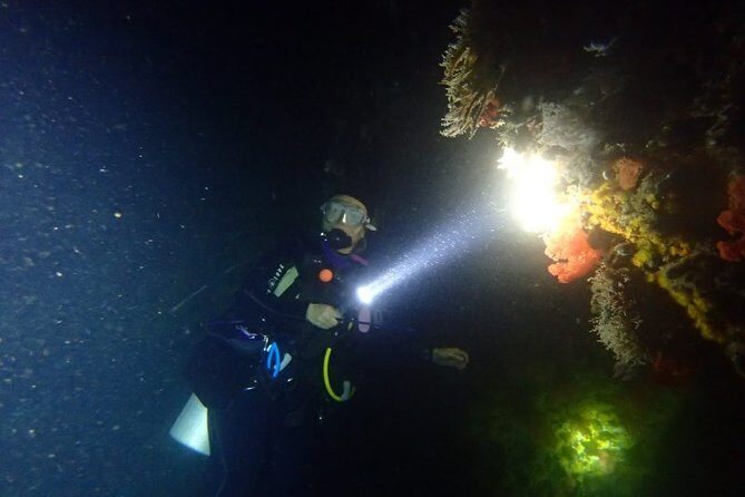 Scuba Diving at Dusk in Unawatuna - Why We Think You’ll Love It