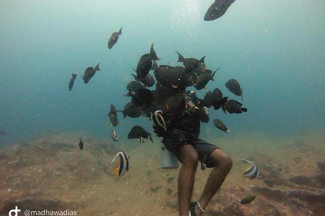 Scuba Diving at Unawatuna - Practical Tips for Your Diving Day