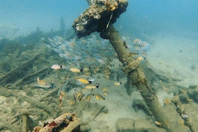 Scuba Diving at Unawatuna - The Sum Up