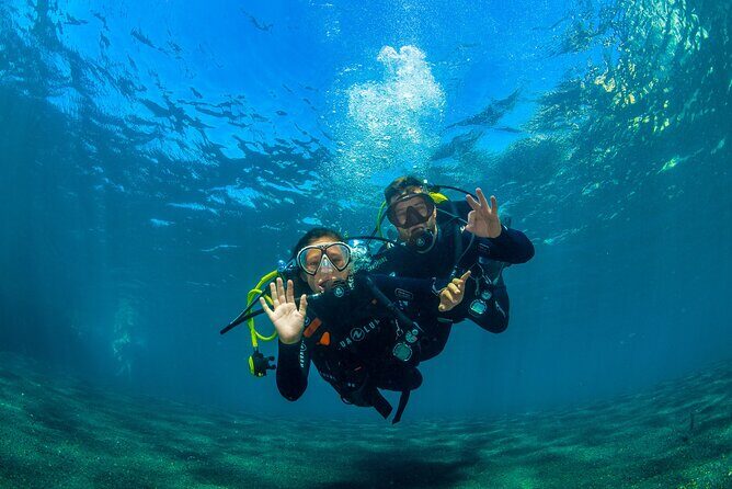 Scuba Diving Baptism Experience in Santa Cruz Tenerife - Key Points