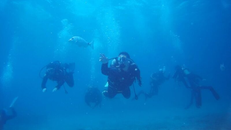 Scuba Diving Baptism in Caleta de Fuste - The Itinerary: What You Can Expect