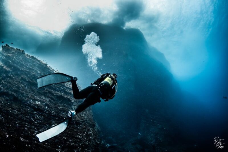 Scuba Diving Baptism in La Restinga - Final Thoughts: Who Is This Tour Best For?