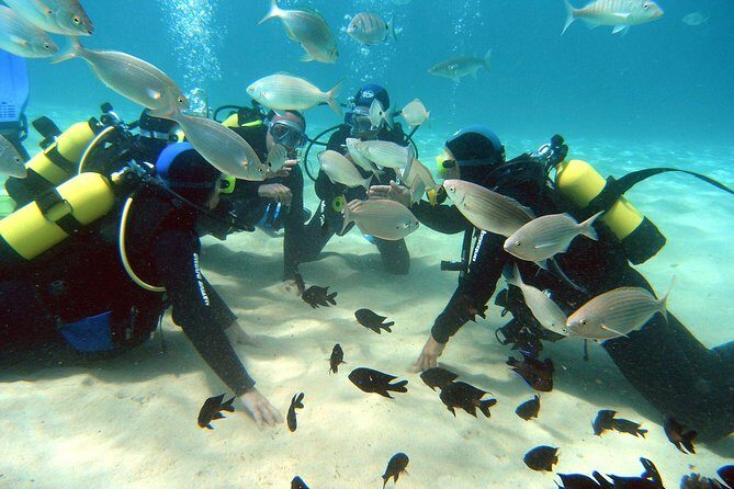 Scuba Diving (Basic Diver - 2 dives) - Key Points