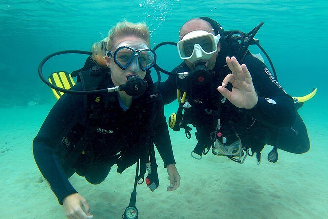 Scuba Diving (Basic Diver - 2 dives) - Authentic Experiences and Honest Feedback