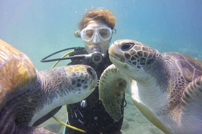 Scuba Diving Beginner's Session in Costa Adeje - An Authentic Introduction to Underwater Adventure