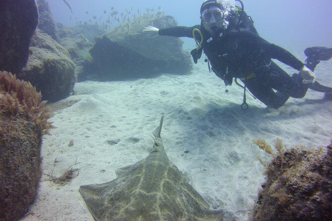 Scuba Diving Beginner's Session in Costa Adeje - Equipment and Safety