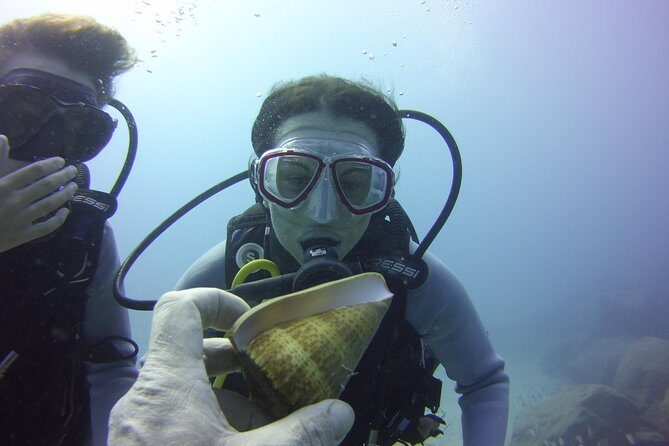 Scuba Diving Beginner's Session in Costa Adeje - The Experience and Atmosphere