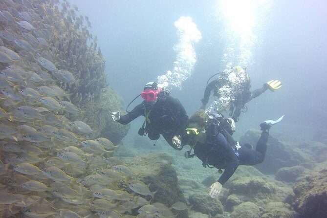 Scuba Diving Beginner's Session in Costa Adeje - FAQs