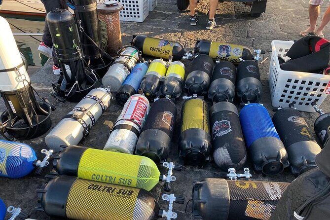 Scuba Diving Experience - What to Expect from the Scuba Diving Tour in Sicily