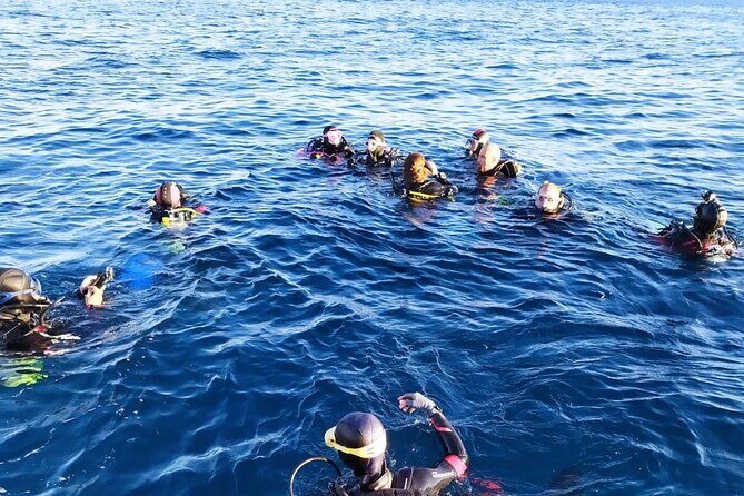 Scuba Diving Experience - Who Should Consider This Tour?