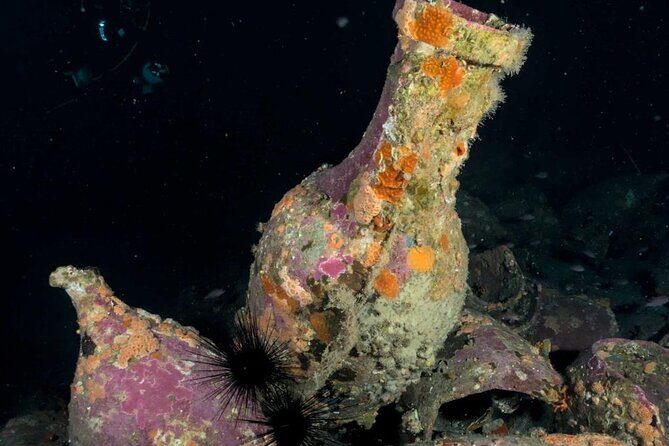 Scuba Diving Experience - The Sum Up: Why This Scuba Tour in Sicily is a Solid Choice