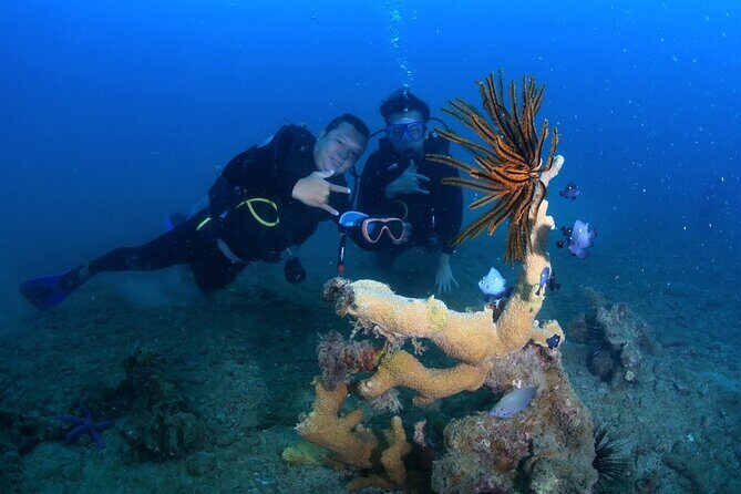 Scuba Diving Experience in Nha Trang Bay - Key Points