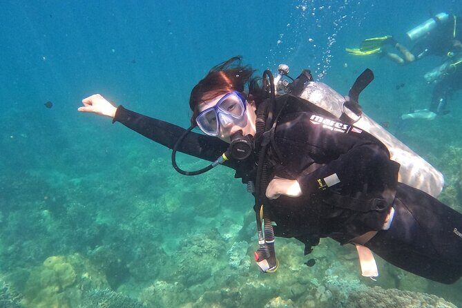Scuba Diving Experience in Nha Trang Bay - The Experience: Who Will Love It?