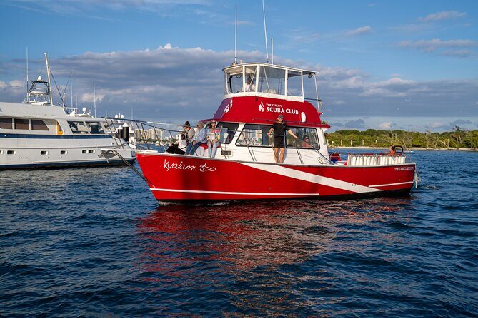 Scuba Diving Experience in West Palm Beach - Key Points