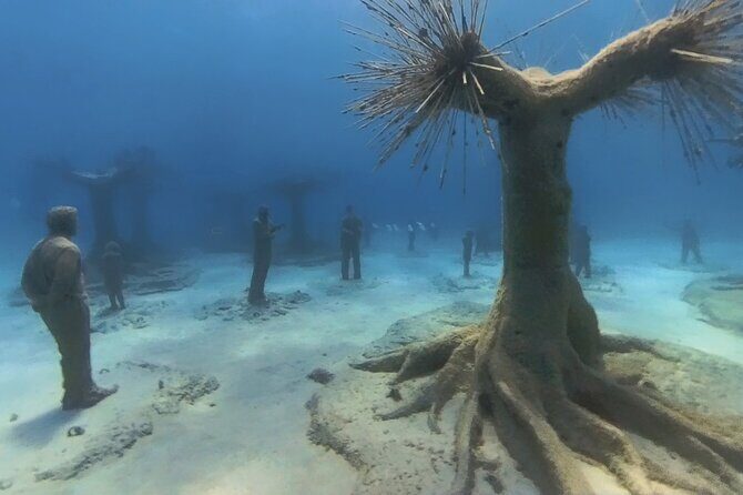 Scuba Diving Experience & MUSAN Dive + Free Edited Video 2xdives - Discover the Underwater Charm of Cyprus with Nautilus Scuba Diving
