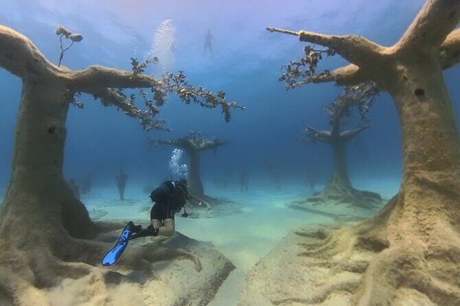 Scuba Diving Experience & MUSAN Dive + Free Edited Video 2xdives - The Importance of a Guided Experience