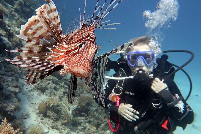 Scuba Diving Experience & MUSAN Dive + Free Edited Video 2xdives - Who Should Consider This Tour?