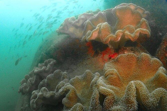 Scuba Diving For Beginners - The Itinerary Breakdown