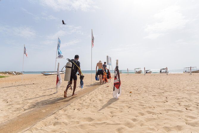 Scuba Diving For Beginners - Timing and Group Size
