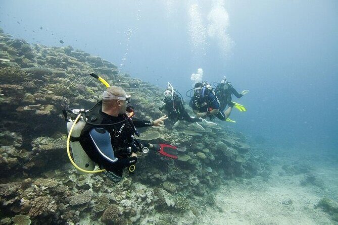 Scuba Diving For Beginners - Value for Money