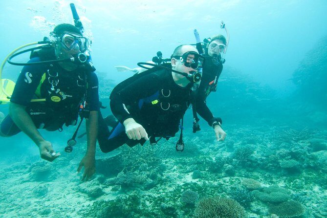 Scuba Diving For Beginners - Equipment & Amenities