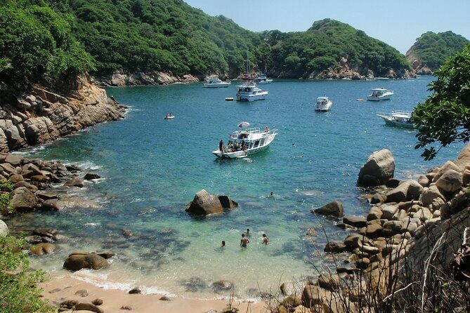 Scuba Diving for Beginners in Acapulco - Why This Tour Offers Excellent Value