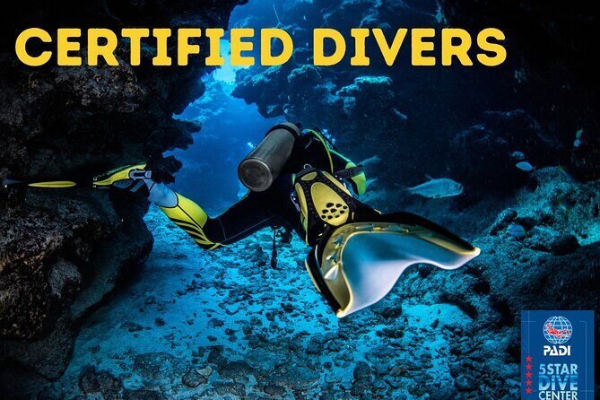Scuba Diving for Certified Divers in Costa Adeje - Final Thoughts