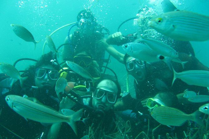Scuba Diving from Bodrum - Who Will This Tour Suit Best?