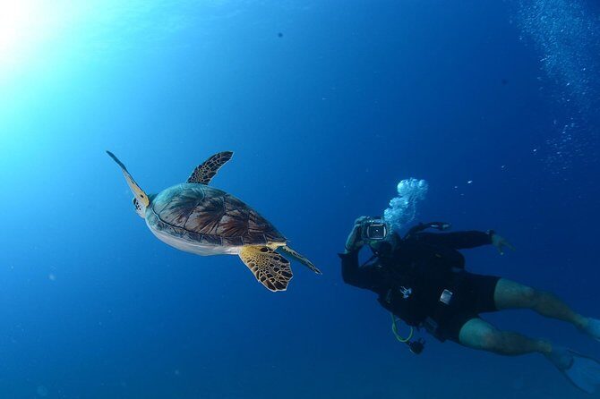 Scuba Diving from Bodrum - FAQs