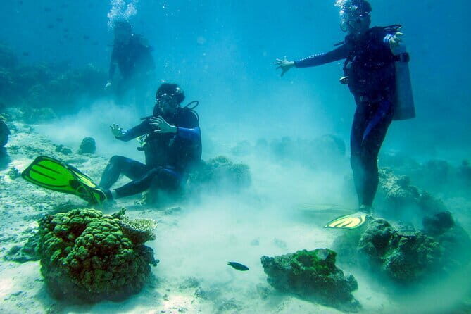 Scuba Diving from Kalpitiya - Key Points