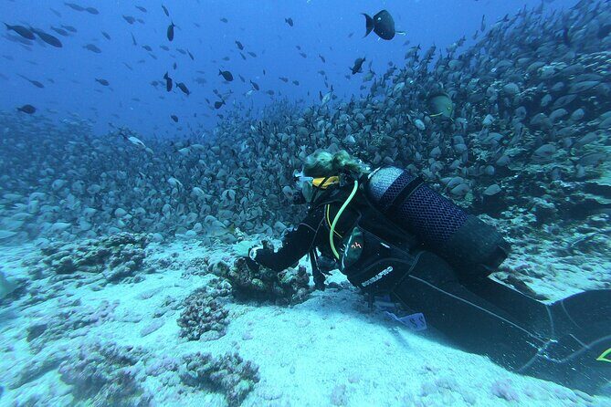 Scuba Diving from Negombo - A Closer Look at the Negombo Scuba Tour