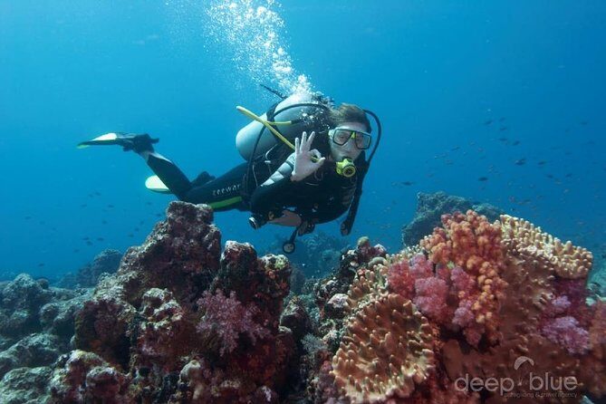 Scuba Diving full of adrenaline in Antalya - Key Points