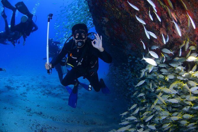 Scuba Diving in Boracay - An In-Depth Look at the Experience