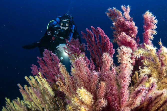 Scuba diving in Calabria, Italy - Exploring Calabria’s Underwater World