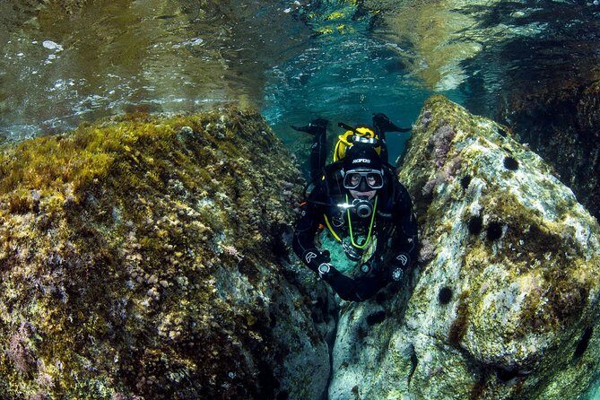 Scuba diving in Calabria, Italy - Who Would Benefit Most?